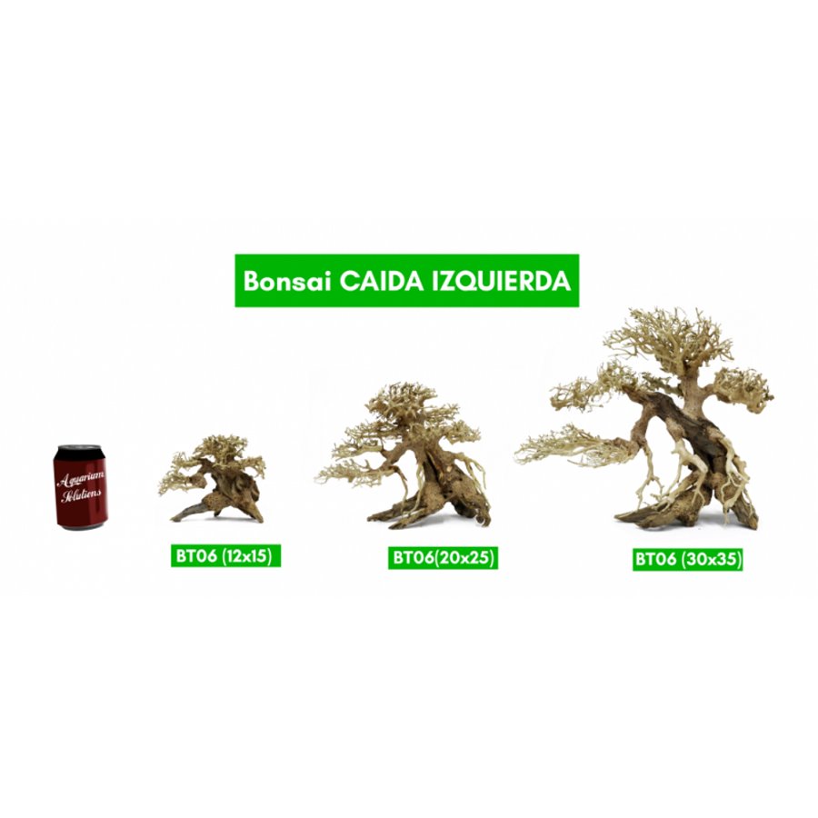 BONSAQUA - Bonsai de queda à esquerda - Bt06 - 12x15 APROx.