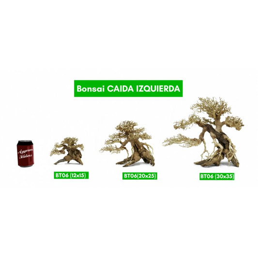 BONSAQUA - Bonsai Caida Izquierda - Bt06 - 30x35 APROx.