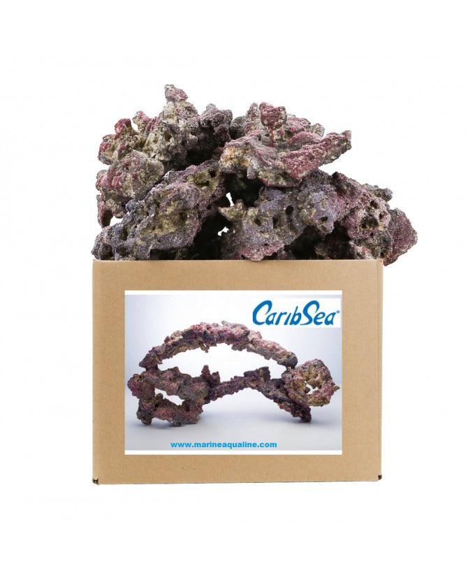 CS – Life Rock Shapes 9,07 kg.