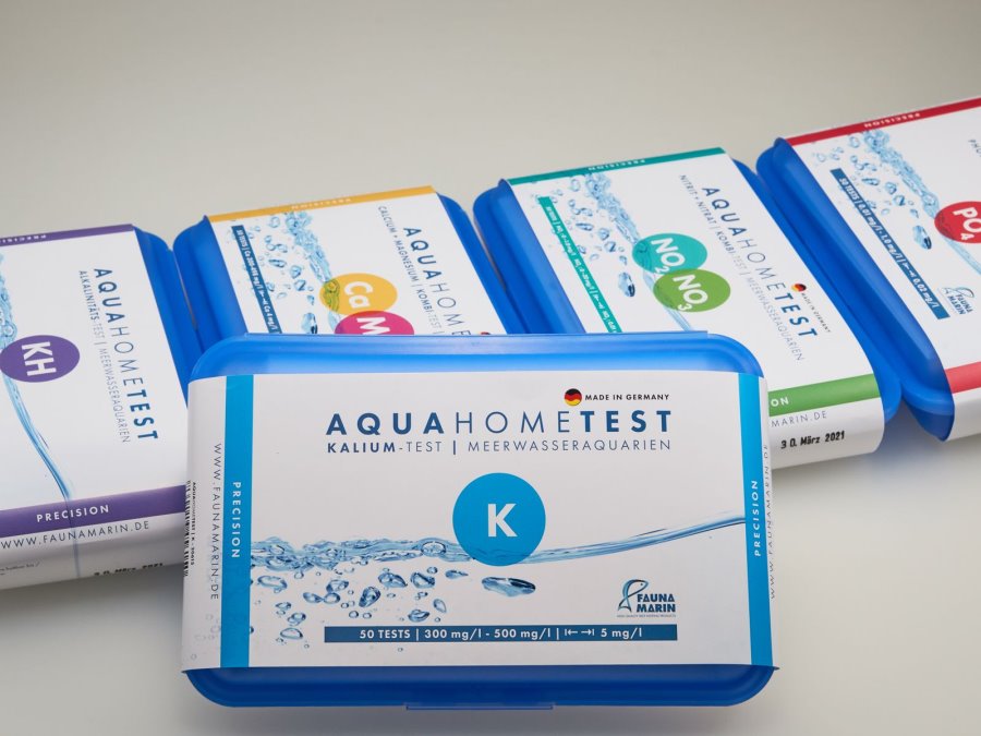 Fauna Marinha - Aquahome Teste K