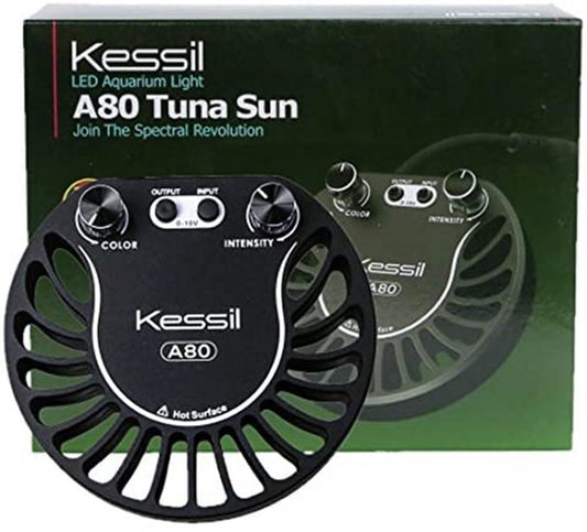 KESSIL - LED A80 Atum Sol