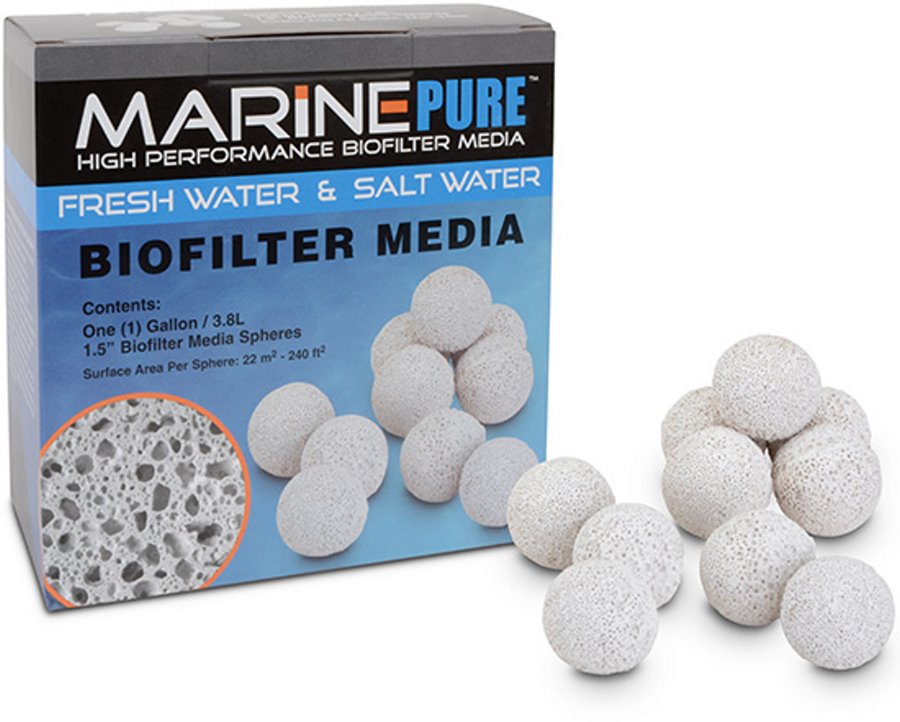 MARINE PURE - Cofre