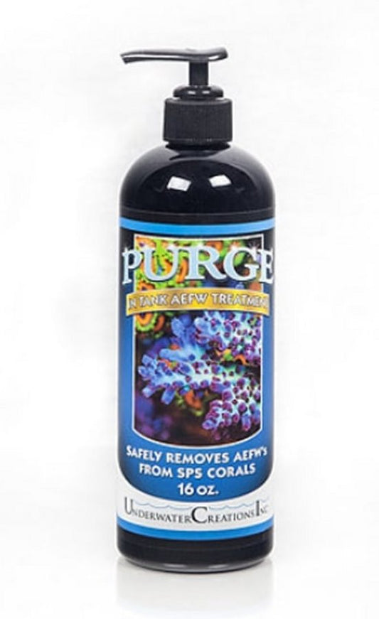 Purge 16 Oz (476 ml) – Balance