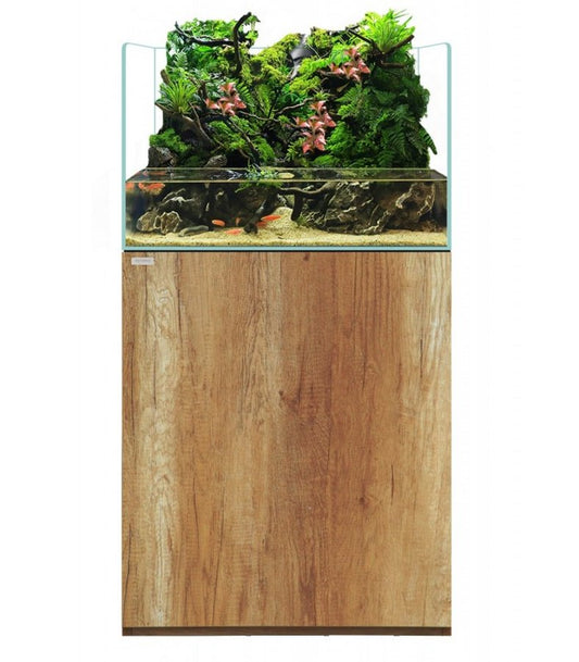 WATERBOX - TERRA 2418 (Solo Paludario)