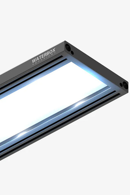 WATERBOX - Nuevo Acuario EDEN-X 80 PENINSULA en Negro de 302 litros