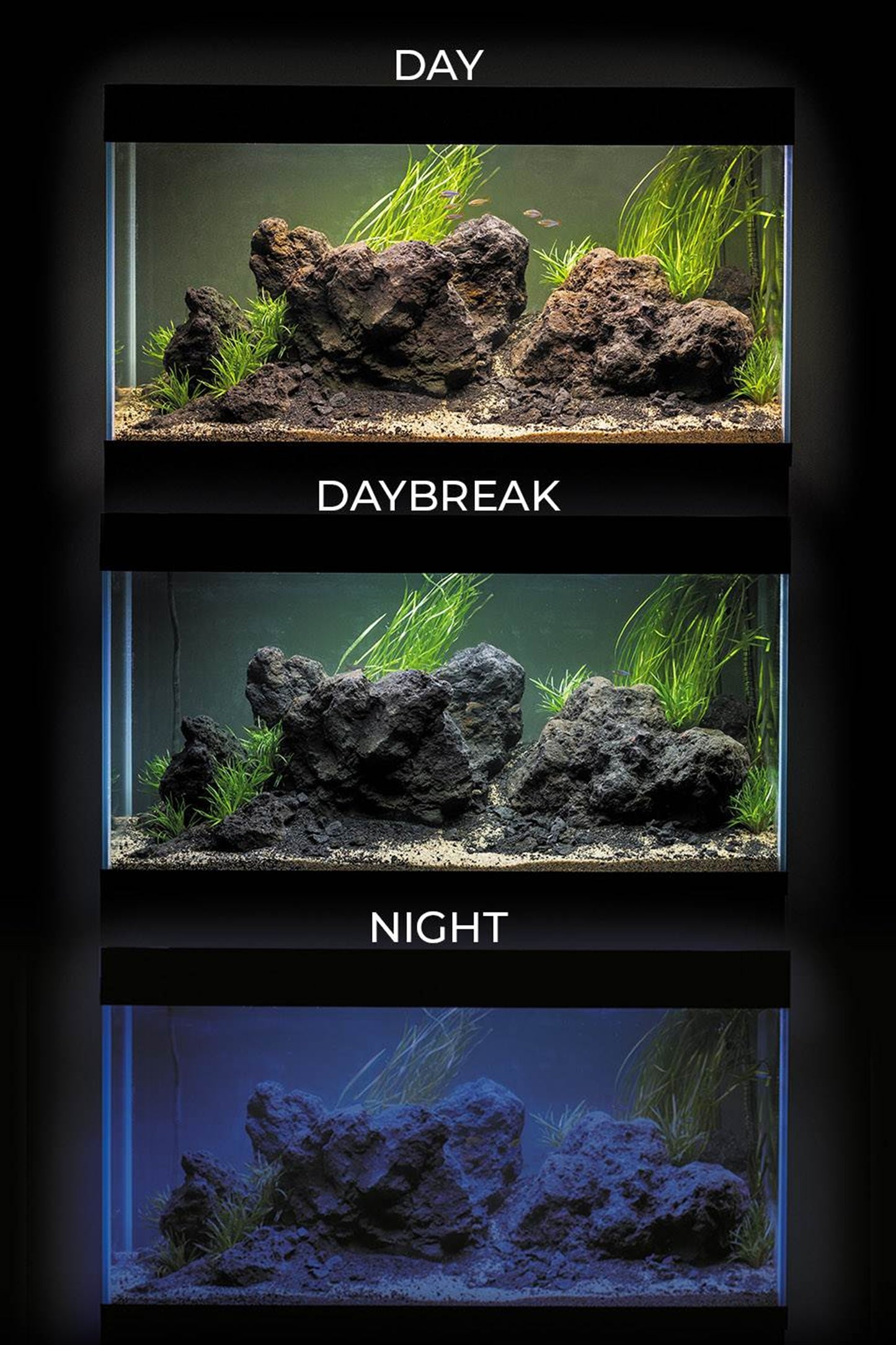 Acuario Optiset 200 litros con mueble Negro