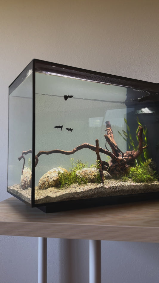 Fluval - Spec Nano Aquário Preto, 60L