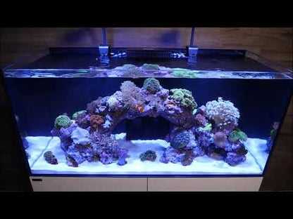 WATERBOX - Acuario MARINE-X 110.4 con mesa Roble - 301 litros