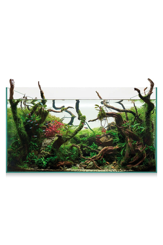 AquaScape 145 - Urna de cristal óptico de 143 litros